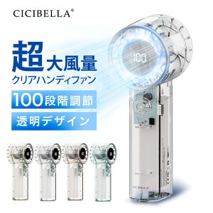 _SS˔zȉOFF^2025nfBt@100iK 啗ʐ@ ^@ nfB@ 莝@@~j@ [dR[hX gѐ@ usb @  cicibella N[[ 
