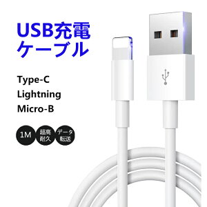 y2{Zbgzy Ԍ z ŒZ iPhone[dP[u AhCh[dP[u [d P[u cable 1m [d USBP[u CgjO Type-C Micro-B ϋv fɂ iPhoneP[u 