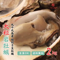 【夏が最旬】 1個200～270gの大粒サイズ！殻付き岩牡蠣(生食用) 2kg 九十九島産 産地直送 長崎 牡蠣ナイ…
