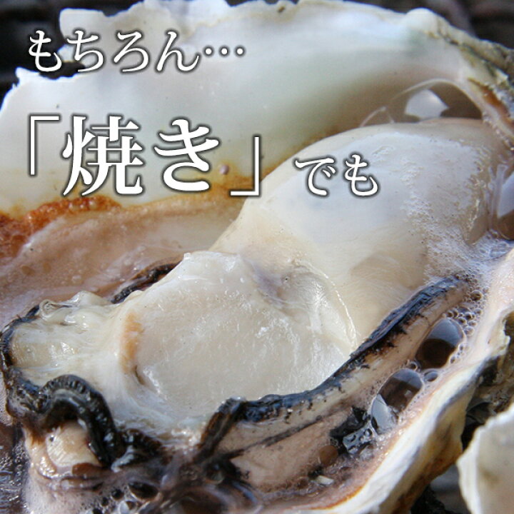 楽天市場 マルモ水産 九十九島産 殻付き岩牡蠣 たっぷり3kg 18個前後 送料無料 夏の風物詩 開け方ガイド付き お中元 敬老の日 父の日 産地直送 ギフト おうちグルメ q 生牡蠣 九十九島からの贈り物
