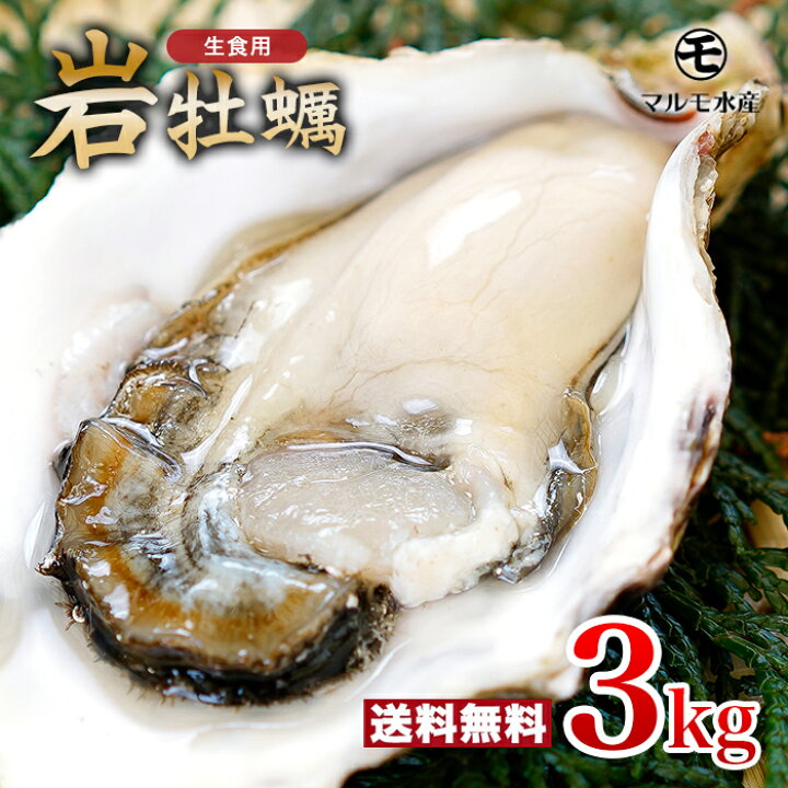 楽天市場 殻付き岩牡蠣 生食用 3kg 1個130 180g 九十九島産 産地直送 長崎 牡蠣ナイフ付 ギフト お中元 敬老の日 q バーベキュー 夏 旬 3キロ 海のミルク 焼きガキ カキフライ お取り寄せ 送料無料 マルモ水産 岩がき 岩ガキ 生牡蠣 九十九島からの贈り物
