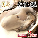 ＼こぶし大の大粒を厳選！／ 殻付き岩牡蠣(生食用) 3kg 1個200～250g 九十九島産 産地直送 長崎 牡蠣ナイフ付 ギフト お中元 敬老の日 BBQ バーベキュー 夏 旬 3キロ 大ぶり 海のミルク 焼きガキ カキフライ お取り寄せ【送料無料】マルモ水産 [岩がき/岩ガキ/生牡蠣]