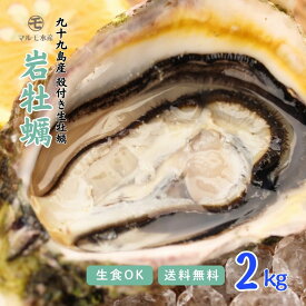 【夏が最旬】 生食OK！殻付き岩牡蠣(生食用) 2kg 1個150～200g 九十九島産 産地直送 長崎 牡蠣ナイフ付 ギフト お中元 敬老の日 BBQ バーベキュー 夏 旬 2キロ 海のミルク 焼きガキ カキフライ お取り寄せ 【送料無料】マルモ水産 [岩がき/岩ガキ/生牡蠣]