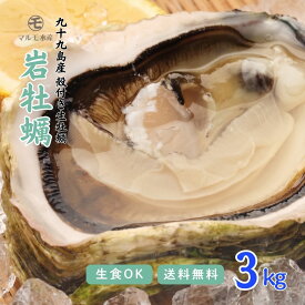 【夏が最旬】 生食OK！殻付き岩牡蠣(生食用) 3kg 1個150～200g 九十九島産 産地直送 長崎 牡蠣ナイフ付 ギフト お中元 敬老の日 BBQ バーベキュー 夏 旬 3キロ 海のミルク 焼きガキ カキフライ お取り寄せ 【送料無料】マルモ水産 [岩がき/岩ガキ/生牡蠣]