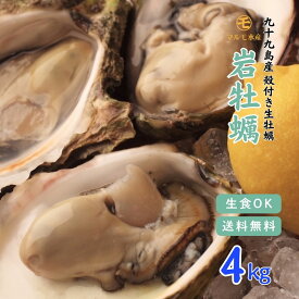 【夏が最旬】 生食OK！殻付き岩牡蠣(生食用) 4kg 1個150～200g 九十九島産 産地直送 長崎 牡蠣ナイフ付 ギフト お中元 敬老の日 BBQ バーベキュー 夏 旬 4キロ 海のミルク 焼きガキ カキフライ お取り寄せ 【送料無料】マルモ水産 [岩がき/岩ガキ/生牡蠣]
