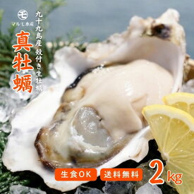 【生食OK】出荷当日水揚げ・発送！九十九島産 殻付き生牡蠣 真牡蠣 生食用 2kg 産地直送 産直 長崎 佐世保｜生牡蠣 牡蠣 かき カキ 海鮮 BBQ｜お取り寄せ 贈答用 ギフト 記念日 誕生日 お歳暮 プレゼント 退職祝い 入学祝い｜UV殺菌済 殻剥きガイド付 送料無料 マルモ水産