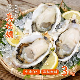 【生食OK】出荷当日水揚げ・発送！九十九島産 殻付き生牡蠣 真牡蠣 生食用 3kg 産地直送 産直 長崎 佐世保｜生牡蠣 牡蠣 かき カキ 海鮮 BBQ｜お取り寄せ 贈答用 ギフト 記念日 誕生日 お歳暮 プレゼント 退職祝い 入学祝い｜UV殺菌済 殻剥きガイド付 送料無料 マルモ水産