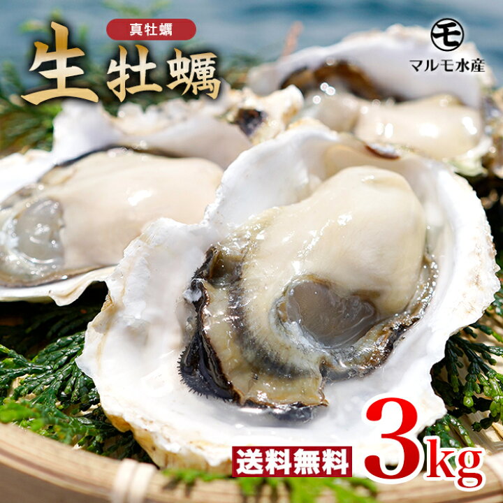 楽天市場】☆九十九島かき☆殻付き真牡蠣(生食用) 3kg 九十九島産 産地 