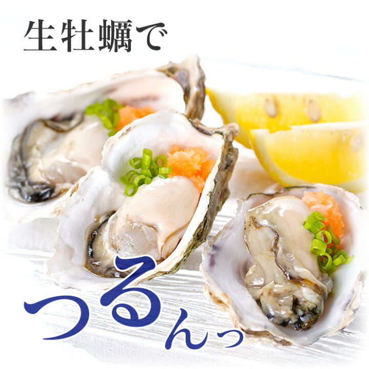 楽天市場 販売再開 殻付き真牡蠣 生食用 3kg 九十九島産 産地直送 長崎 佐世保 ギフト 記念日 誕生日 プレゼント 退職祝い 入学祝い お取り寄せ Uv殺菌済 ガイド付 送料無料 マルモ水産 かき カキ 生牡蠣 九十九島からの贈り物
