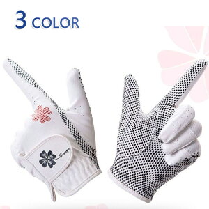  I[V[Y StO[u p  v PUU[ St 2Zbg t ʋC  }CNt@Co[ H~  fB[X f 1yA ~ߕt