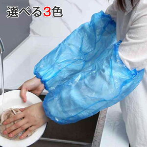 fBX| rphJo[ HXp qpi |G` ĝ h Hp Jo[ X[uJo[ i u[ 100 A[Jo[ N[Jo[ Ɨp  h~ Ɩ