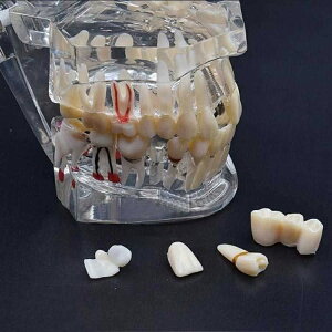 ���Ȗ͌^ ���̖͌^ �u�� ���� ������ �͌^ �׋� �N���j�b�N �W�{ ����͌^ �C���e���A ��� ��t ��w ���͌^ �� ���o���͌^ ���� ���� �����W���͌^ �l�̖͌^ �J�� ��U ���� ���� ���f�� 