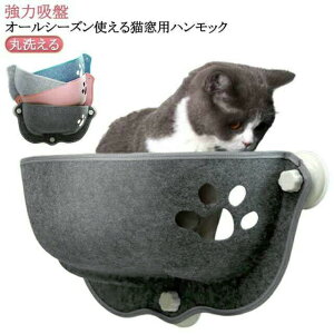 xbh L ybgxbh t  Lxbh L L nbN | 傫TCY xbh L  H z nbN  ~  lRp ˂ ɂ p Xebv  ͋z 