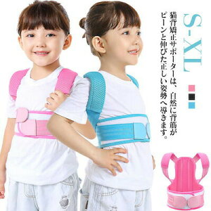 pT|[^[ q ̎q q Lw j̎q Lw w؋xg Lwxg  pT|[^[ LbY Lw xg xg qp pxg 䂪 ␳   