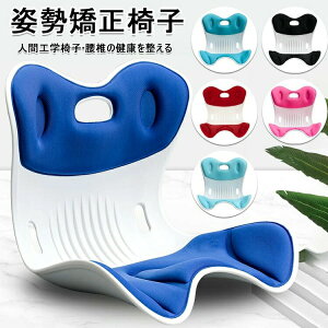 p ֎q ItBX`FA/Q[`FA//֎qpNbV 邾ɂȂȂNbV ՃT|[g`FA  ֎q y ^т₷ 120kg܂őΉ [ K