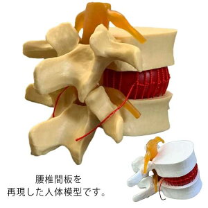 ŊԔ ͌^ ڍ@ l̖͌^ i͌^ iW{ ͌^ [͌^ l͌^ [   Ԑږ͌^ Ŗ͌^ f l KCRc i   ͌^ @ W{   i  K