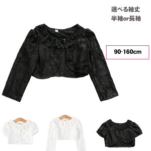 q { tH[}{ qp P[v HD ̎q q   J[fBK [X  hX K[Y \  t w Ǝ i RT[g ܎O