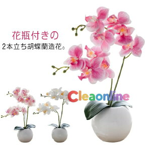 Ӓ  G} 2{  STCY j v[g Mtg z JX J@j ~jTCY Ӓ A[gt[  ̓ ̓ hV̓ { {݂ 