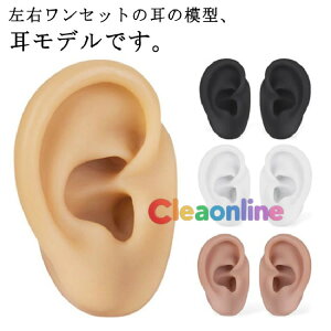 耳 シリコン ピアス 左右セット 耳モデル 耳 練習 フェイク 耳の模型 みみ リアル イヤリング ディスプレイ 教育用 指導用 耳アクセサリー 耳鍼 鍼灸 縫合