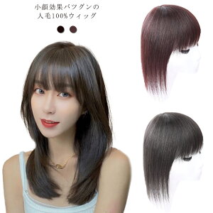 ウィッグ 人毛100% かつら レディース フルウイッグ ロングストレート ショートストレート ボブ ミディアム 自然 薄毛 増毛 つけ毛 白髪隠し 医療用ウィッグ 女性用 医療用帽子 送料無料 人毛