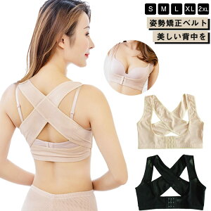 w w؋T|[^[ ␳ {fBX[c u fXN[N pT|[^[ pxg Ci[ xg Lw ␳ gbvX {fBCN ɂȂ oXgAbv 