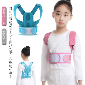 T|[^[ LbY ̎q Lwxg  w؋xg qp Lw v[g qp w؋xg pxg pT|[^[ p␳ q xg ʋCQ qp 