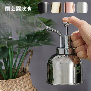  |p 300ml XeX CeA  傤  | | U ϗtA