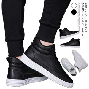 6cm 8cm Y Xj[J[ V[NbgV[YɓKp nCJbg gAbv V[gu[c u[c  C YC Cq[V[Y