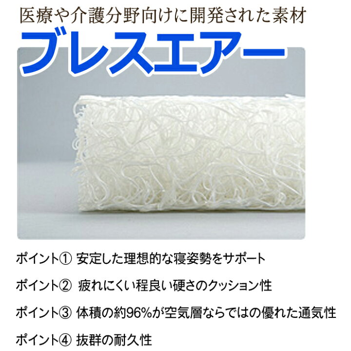 楽天市場】送料無料 訳ありブレスエアー エヴォリューションII 