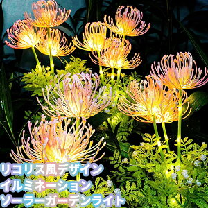 O \[[Cg C~l[VCg RXfUC K[fCg \[[ t[v z\[[Cg ފ݉Ԍ^ h _ Ɩ OCg 