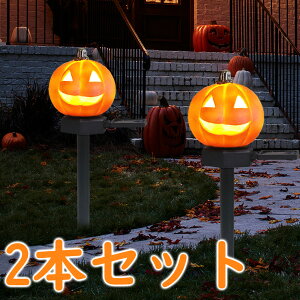 nEB \[[Cg O h K[fCg WbNI^ J{` Cg ߍݎ 2Zbg _ C~l[V ȃGl    ͋C  C