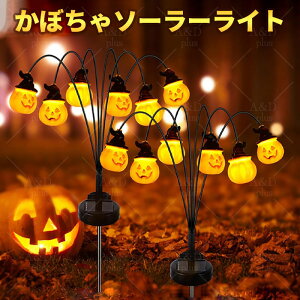 \[[Cg O h nEB  K[fCg y 6̂ڂtz ڂ჉Cg \[[ O h 2[h ߍݎ O h _ ȃGl Ɩ  