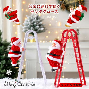 ͂T^ NX}X  T^N[Xl` c[I[ig  Ǐ  CeA G Mtg v[g 2025 V drsv 蕗  ۈ牀 ct ƒ