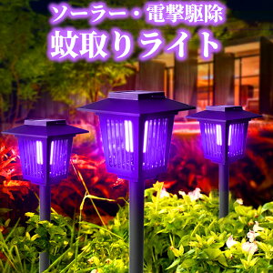 \[[Cg  K[fCg _ OƖ z[d PxLED hho dd쏜 뉀Cg Cg O [hؑ zsv ȃGl GRCg Ő