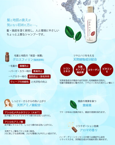 バレーノエグゼクティブシャンプー400ml