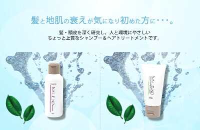 バレーノエグゼクティブシャンプー&トリートメントセット400ml&230g