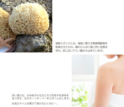 ManaKopaマナコパ海綿スポンジ付き固形石鹸140g全6フレグランス