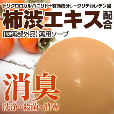 デオドラント薬用ソープ100g(医薬部外品)洗浄・殺菌・消毒・消臭・柿渋・柿タンニン