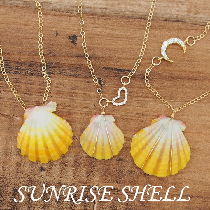 楽天市場】サンライズシェル ハワイの希少なサンライズシェルを使用  