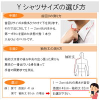 セット内容