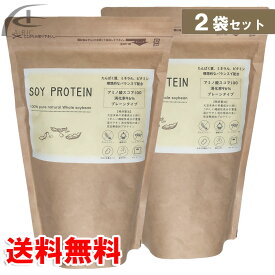 SOY PROTEIN 600g 大豆丸ごとプロテイン 2袋セット