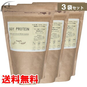 SOY PROTEIN 600g 哤ۂƃveC 3܃Zbg