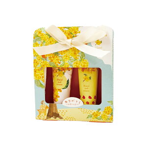 ݌ɏ 5ނIׂ nhN[ 10g×2{ ؍ nhN[ zCgeB[ XN   Xgx[ ~U nhPA ێ  v[g RX Mt