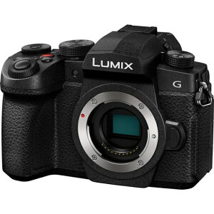 fW^J fWJ J pi\jbN LUMIX G99II fW^J {fB ~bNX DC-G99M2 ubN