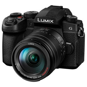 fW^J fWJ J pi\jbN LUMIX G99II fW^J {Y[YLbg ~bNX DC-G99M2H ubN