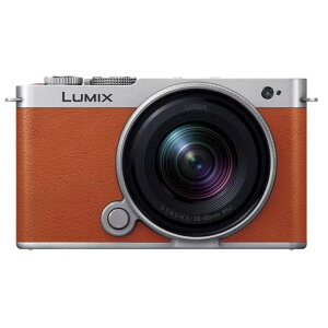 fW^J fWJ J pi\jbN LpY[YLbg ~[XJ [LIW] LUMIX DC-S9N-D