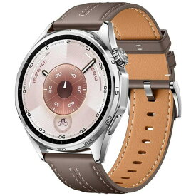 スマートウォッチ 腕時計 ファーウェイ スポーツモード GPS サイクリング iOS Android HUAWEI WATCH GT 6 46mm [グレー] 15時まで当日出荷※営業日・入金済