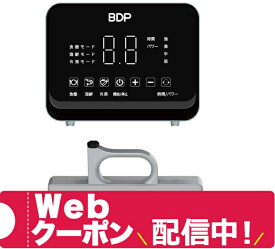 在庫有 食器洗い機・乾燥機・浄水器 ビーディーピー BDP Q6_400 超音波食洗機 The Washer Pro (専用洗い桶付き) Q6-400