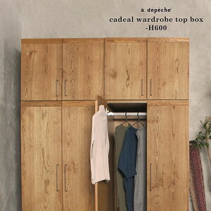 y󒍐YzJf [h[u gbv {bNX -H600 [h[uƍĎggbv{bNX  [ Ƌ Q Lrlbg cadeal wardrobe top box