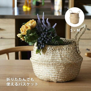 �J�S �o�X�P�b�g �����o�X�P�b�g ���[ ���� �ו����� �i�`������ �s�N�j�b�N �L�b�`�����[ �����h���[�o�b�O ���[�J�S ���[�P�[�X �o���G�� �G�X�j�b�N ������� ���킢�� �k�� �A�W�A�� �G